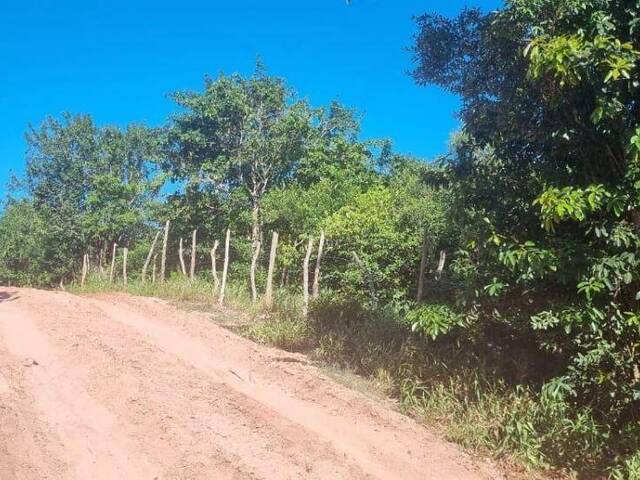 Land in Terreno para Venda na Praia da Pipa- Tibau do Sul / RN