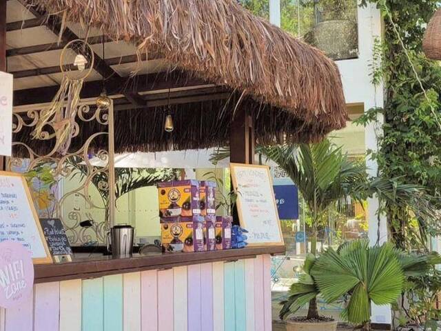 Commercial in Imóvel Comercial para Venda na Praia da Pipa- Tibau do Sul / RN