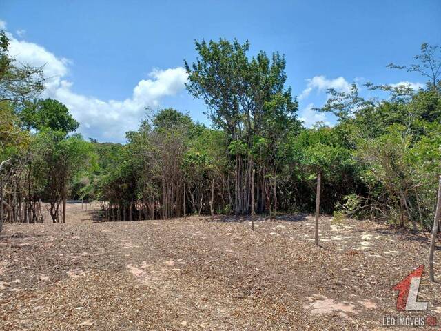 Land in Terreno para Venda na Praia da Pipa- Tibau do Sul / RN