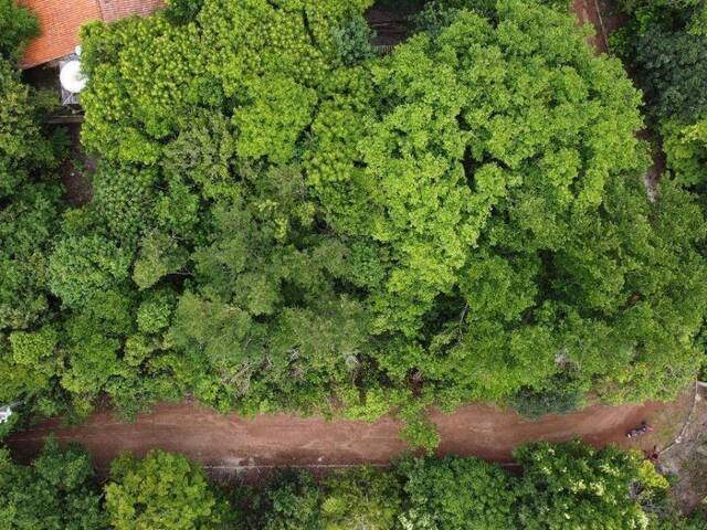 Land in Terreno para Venda na Praia da Pipa- Tibau do Sul / RN