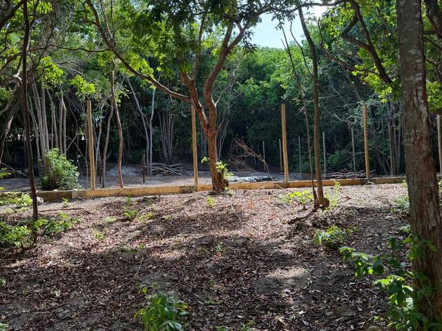 Land in Terreno para Venda na Praia da Pipa- Tibau do Sul / RN