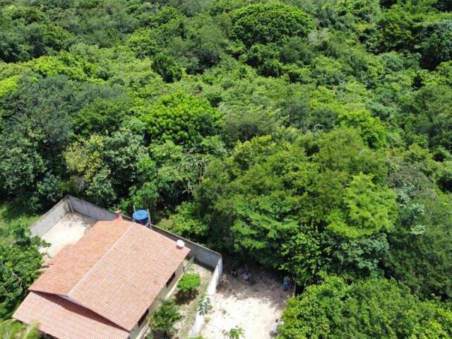 Land in Terreno para venda na Praia da Pipa- Tibau do Sul / RN
