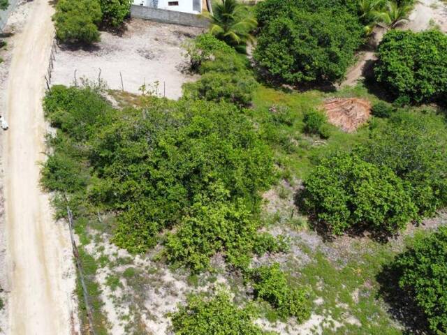 Land in Terreno para Venda na Praia da Pipa- Tibau do Sul / RN