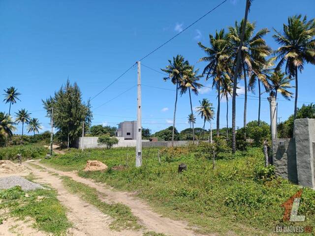 Land in Terreno para Venda em Sibaúma- Tibau do Sul / RN