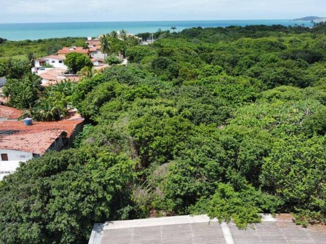 Land in Terreno para Venda na Praia da Pipa- Tibau do Sul / RN