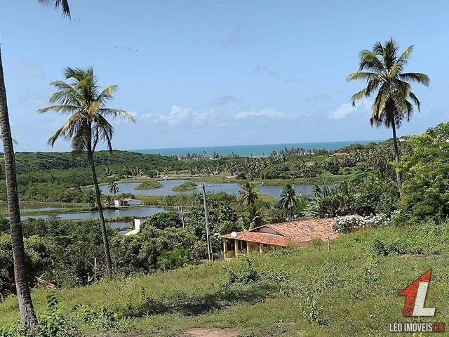 Land in Terreno para Venda em Sibaúma- Tibau do Sul / RN