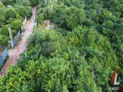 Land in Terreno para Venda na Praia da Pipa- Tibau do Sul / RN