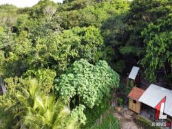 Land in Terreno para Venda na Praia da Pipa- Tibau do Sul / RN