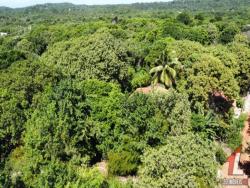 Land in Terreno para Venda na Praia da Pipa- Tibau do Sul / RN