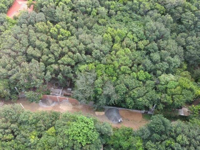 Land in Terreno para Venda na Praia da Pipa- Tibau do Sul / RN