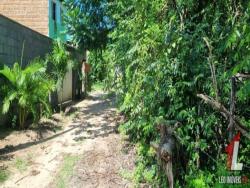 Land in Terreno para Venda na Praia da Pipa- Tibau do Sul / RN