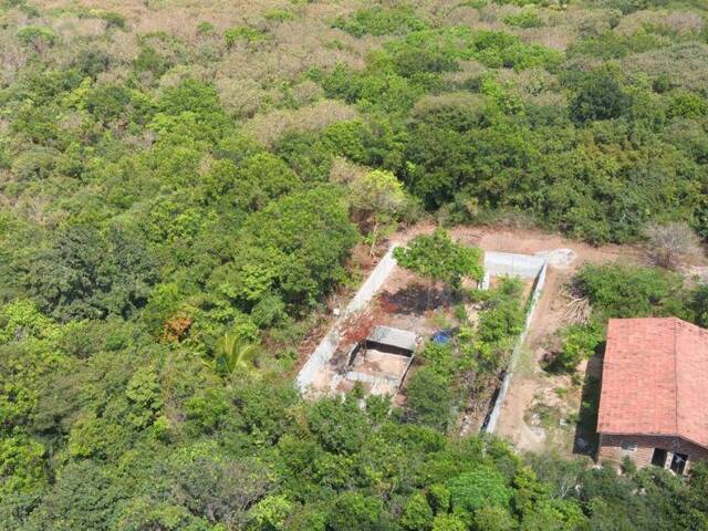 Land in Terreno para Venda na Praia da Pipa- Tibau do Sul / RN