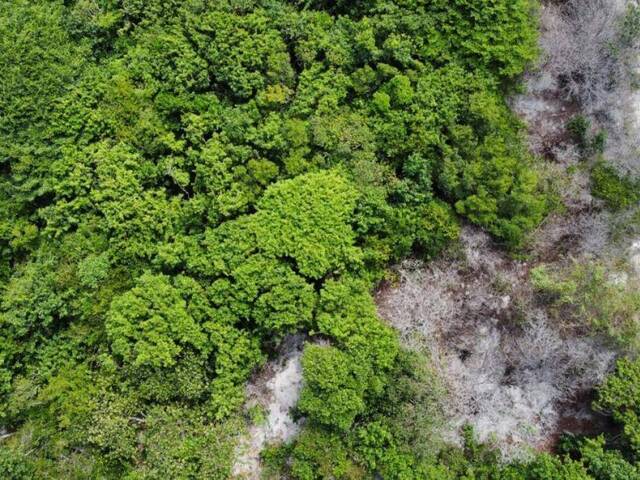 Land in Terreno para Venda em Sibaúma- Tibau do Sul / RN