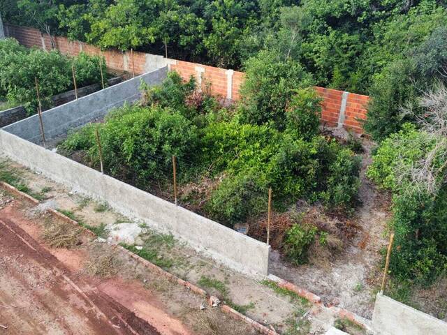 Land in Terreno para venda na Praia da Pipa- Tibau do Sul / RN