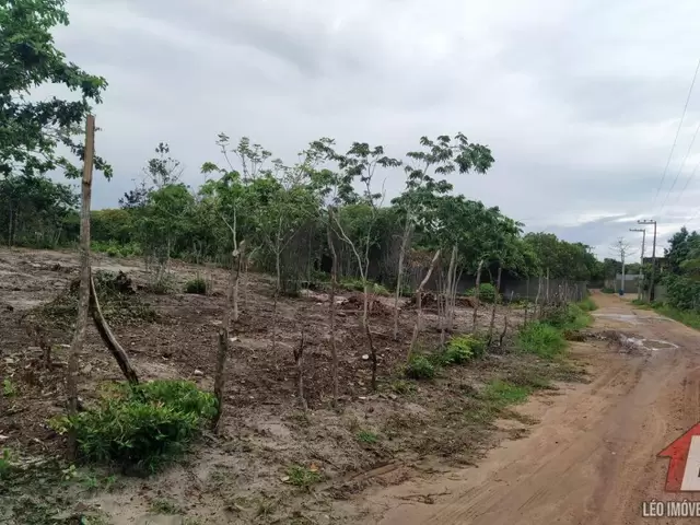 Land in Terreno para Venda na Praia da Pipa- Tibau do Sul / RN