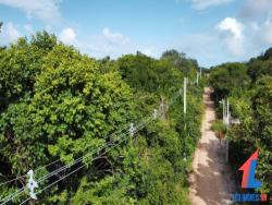 Land in Terreno para Venda na Praia da Pipa- Tibau do Sul / RN