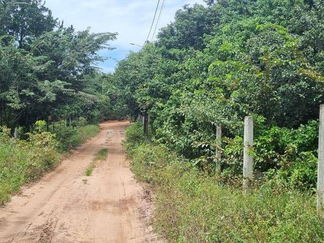 Land in Terreno para venda na Praia da Pipa, Tibau do Sul/ RN