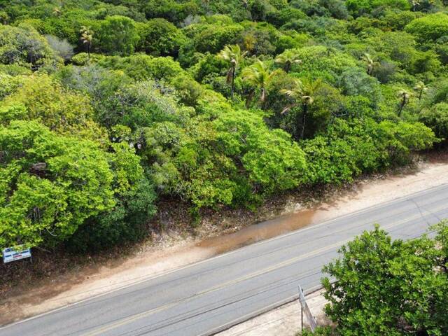 Land in Terreno para venda na Praia da Pipa- Tibau do Sul/ RN