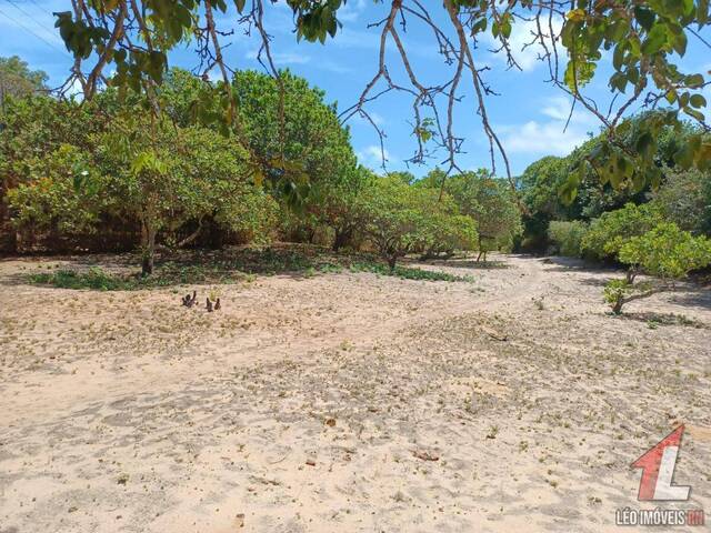 Land in Terreno para Venda na Praia da Pipa- Tibau do Sul / RN