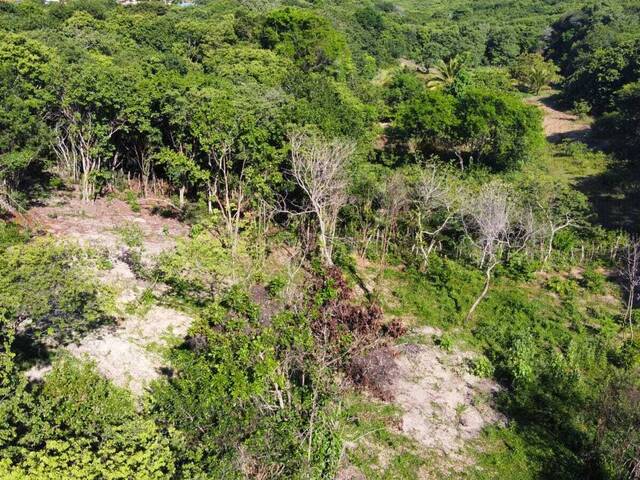 Land in Terreno à Venda na Praia da Pipa- Tibau do Sul/RN