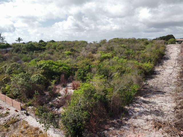 Land in Terreno à Venda na Praia da Pipa- Tibau do Sul/ RN