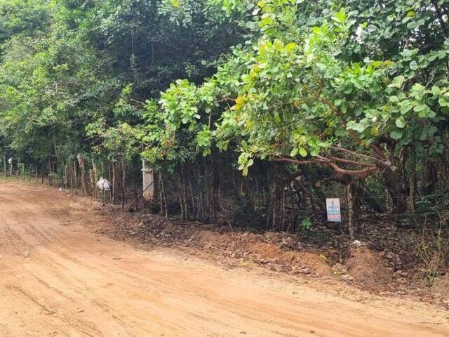 Land in Terreno à Venda na Praia da Pipa- Tibau do Sul/ RN
