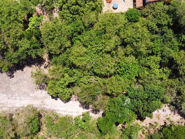 Land in Terreno à Venda na Praia da Pipa- Tibau do Sul/ RN