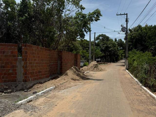 Land in Terreno para Venda na Praia da Pipa- Tibau do Sul / RN