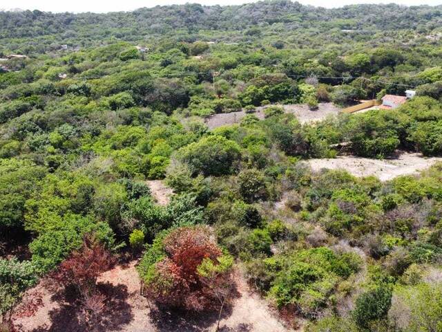 Land in Terreno à Venda na Praia da Pipa- Tibau do Sul/ RN