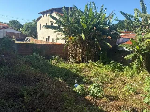 Land in Terreno à Venda na Praia da Pipa- Tibau do Sul/ RN