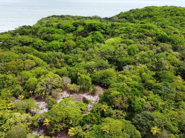 Land in Terreno para venda na Praia da Pipa- Tibau do Sul/ RN