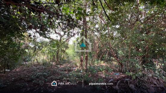 Land in Terreno à venda, 490 m² na Praia da Pipa - Tibau do Sul/RN