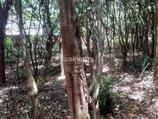 Land in Terreno na rua Gameleira com 1600 mt na Praia de Pipa