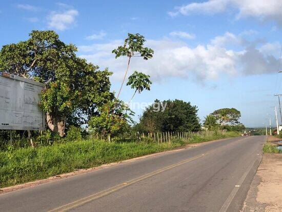 Land in Terreno com projeto casa verde, amarelo aprovado.