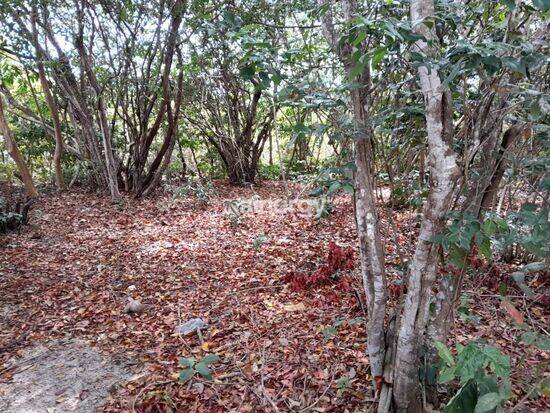 Land in Terreno à venda, 704 m² por R$ 387.000,00 - Praia da Pipa - Tibau do Sul/RN